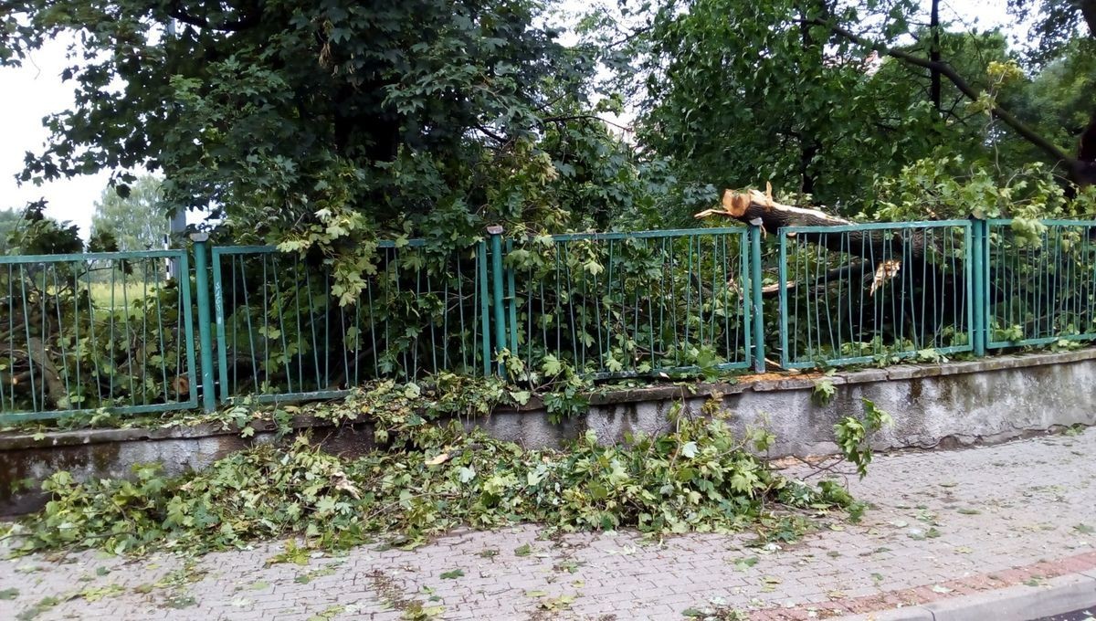 Służby sprzątają po nawałnicy