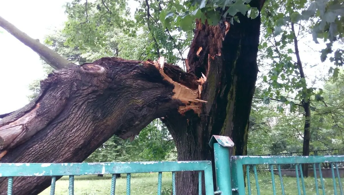 Służby sprzątają po nawałnicy