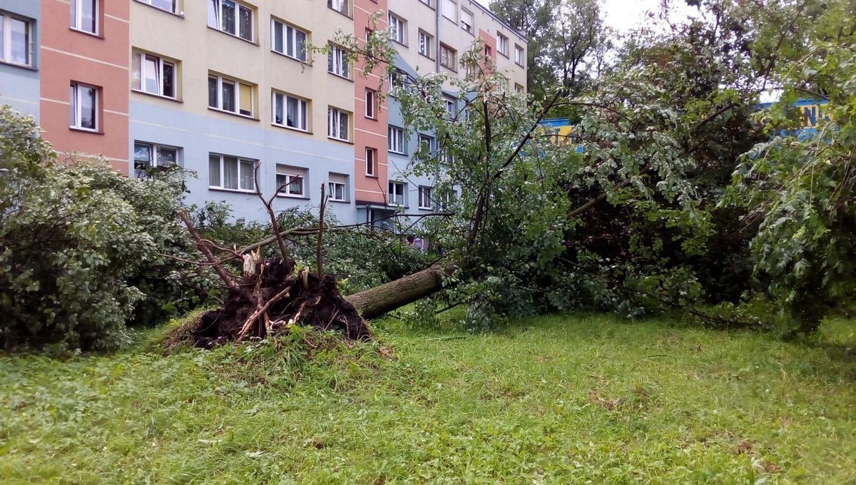 Służby sprzątają po nawałnicy