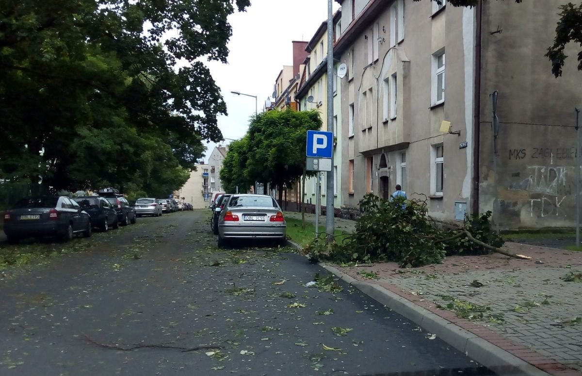 Służby sprzątają po nawałnicy