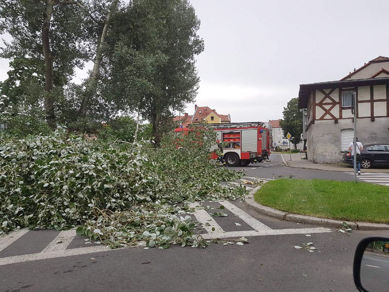 Łokietka: drzewo spadło na drogę