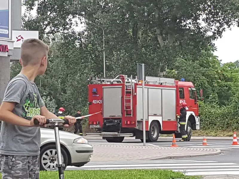 Łokietka: drzewo spadło na drogę