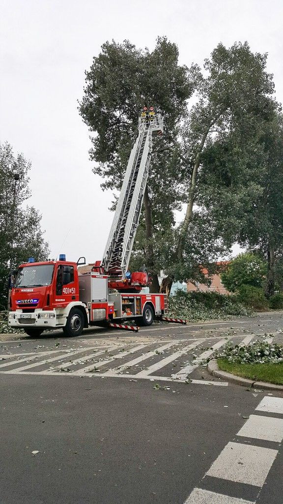 Zdjęcia wykonane kilka minut przed 17:00.