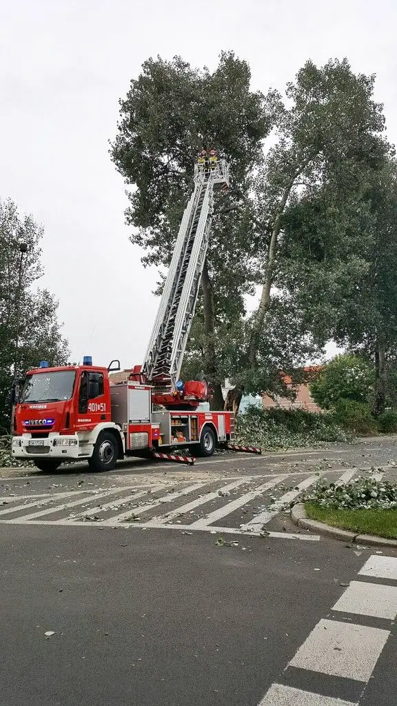 Zdjęcia wykonane kilka minut przed 17:00.