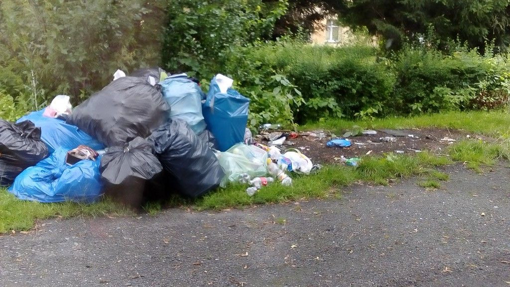 Śmieci w gminie Nowogrodziec. Zdjęcia wykonane w Zebrzydowej