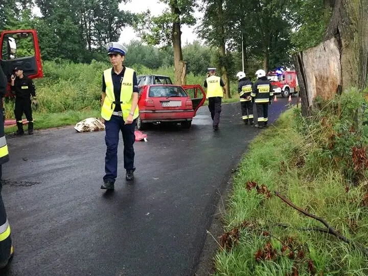 Kierowca Golfa zginął w wypadku w Żeliszowie