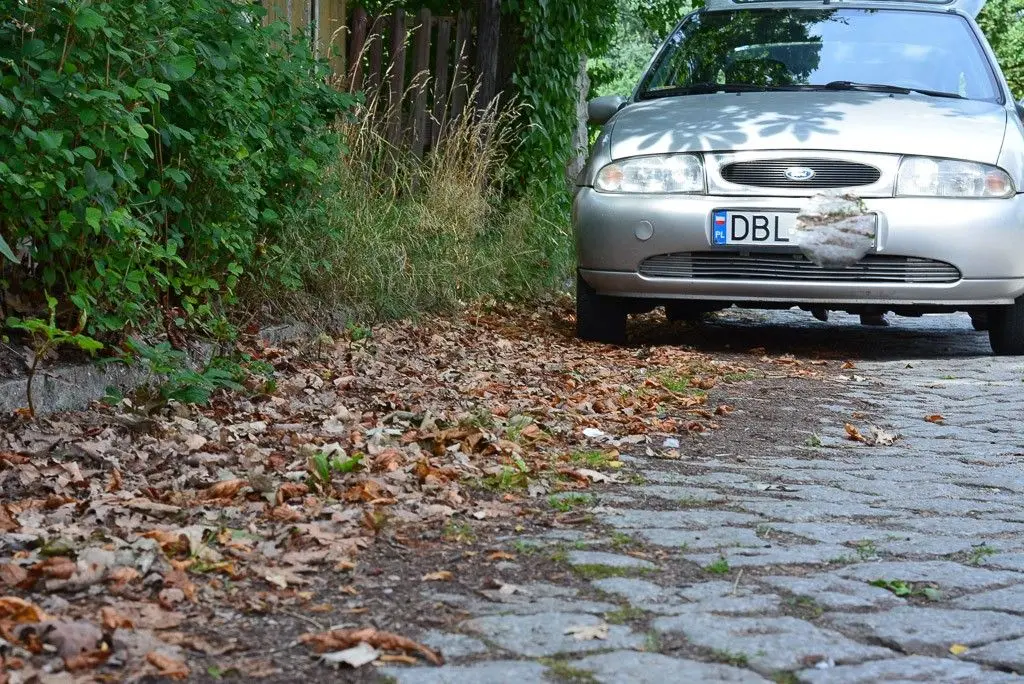 Zapomniana przez Miasto droga?