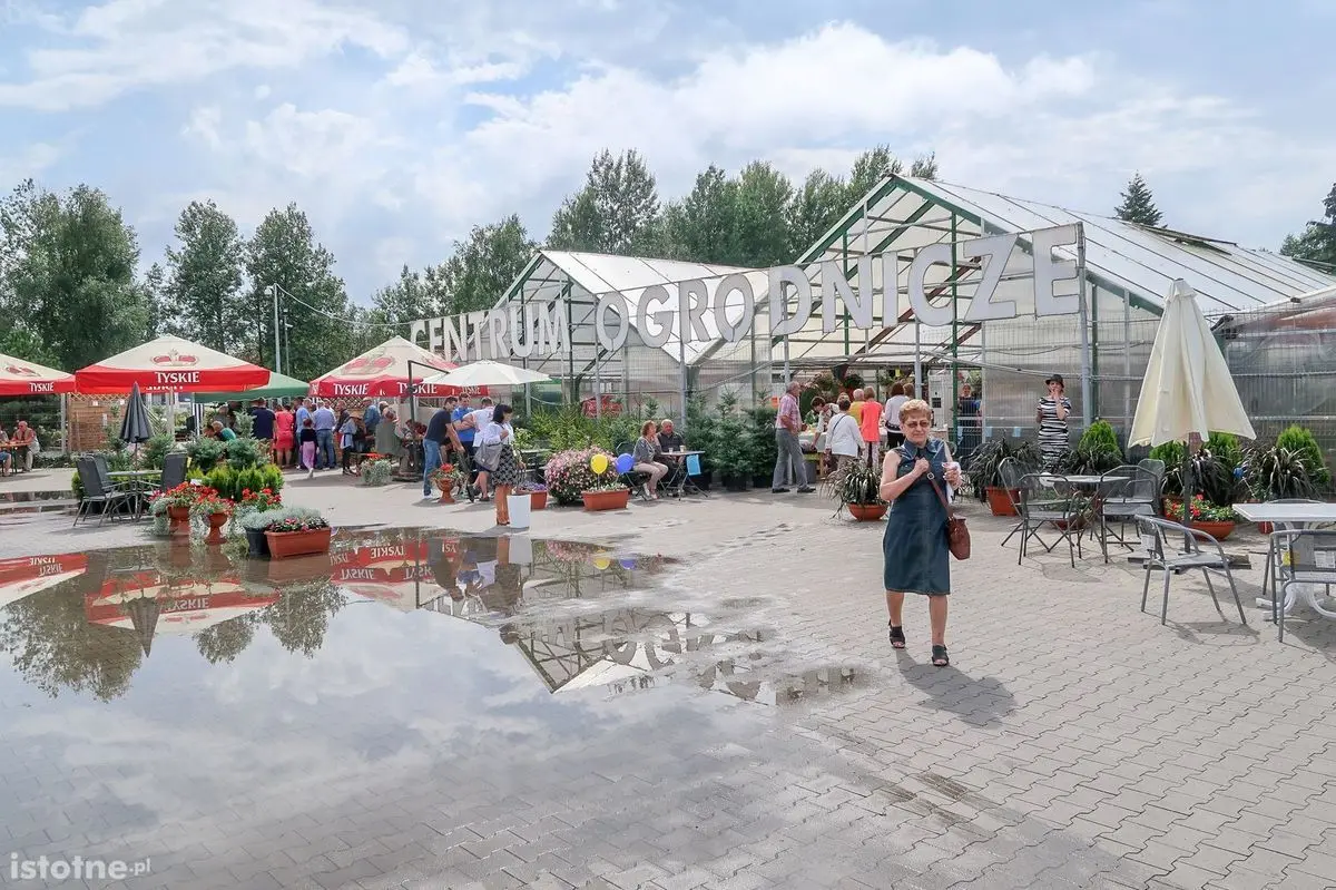 Sklep PSB Mrówka w Bolesławcu
