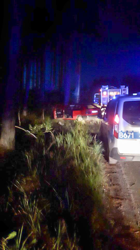 Staranował drzewo w lesie i uciekł z miejsca zdarzenia