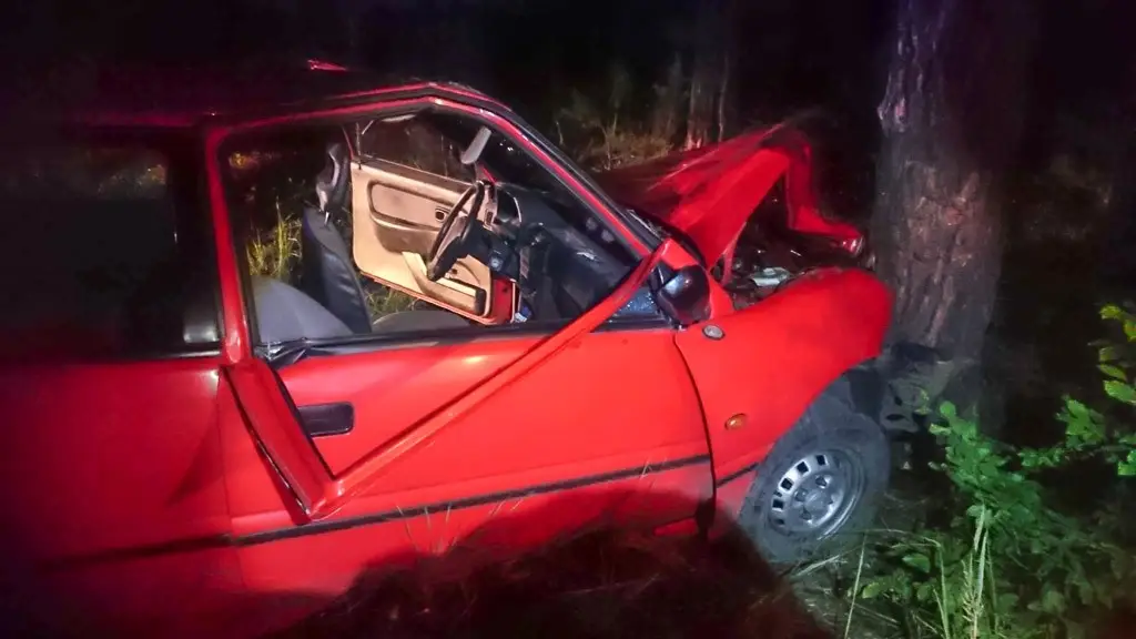 Staranował drzewo w lesie i uciekł z miejsca zdarzenia