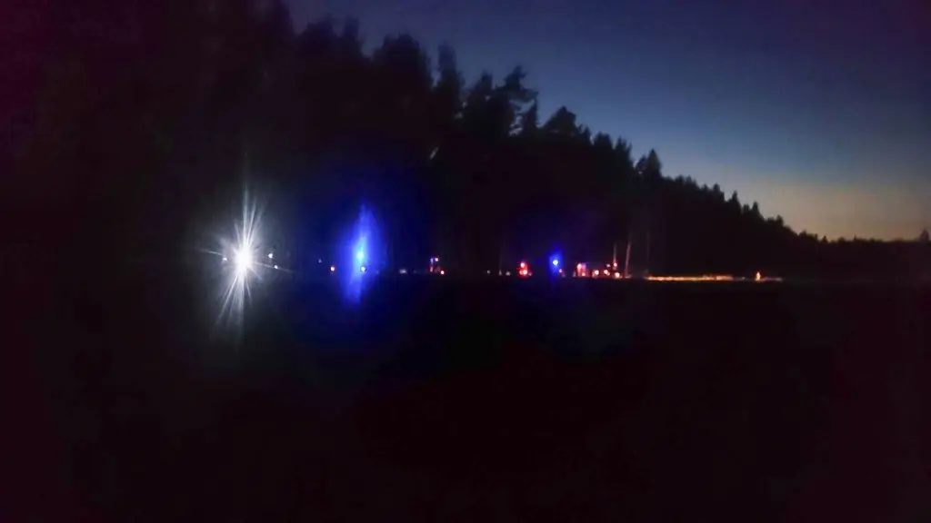 Staranował drzewo w lesie i uciekł z miejsca zdarzenia