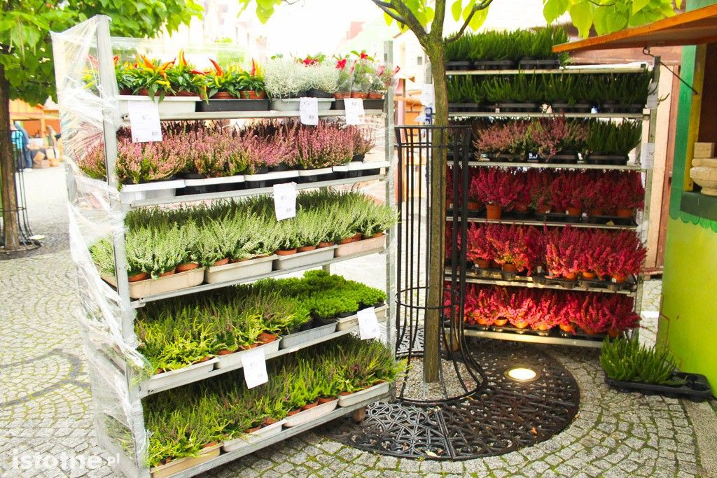 Trwają Dni Ceramiki 2017