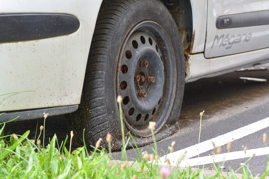 Biały Renault straszy przy II LO
