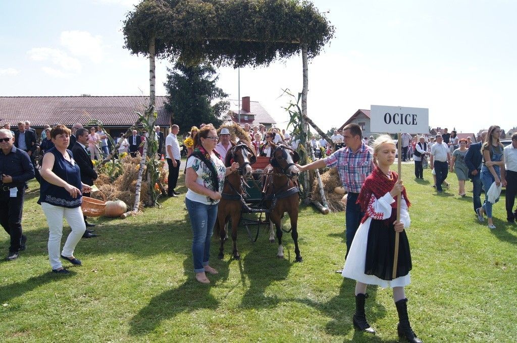 Dożynki Gminne w Brzeźniku