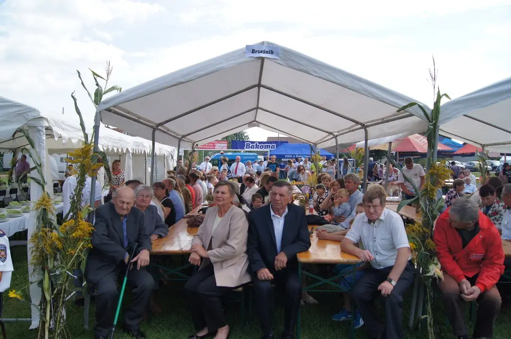 Dożynki Gminne w Brzeźniku