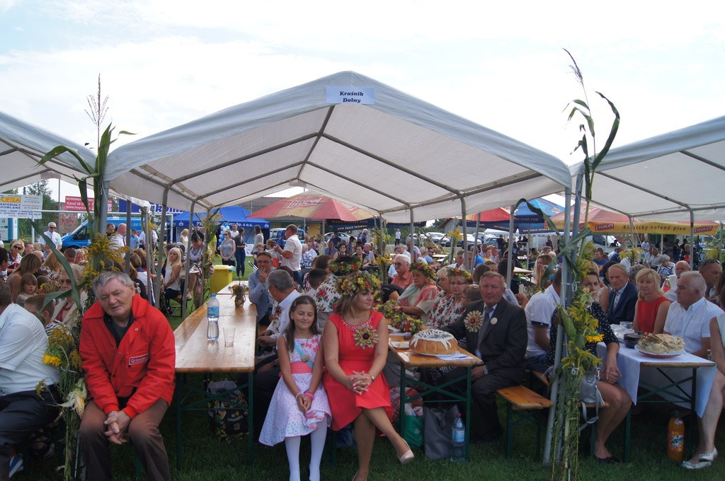 Dożynki Gminne w Brzeźniku