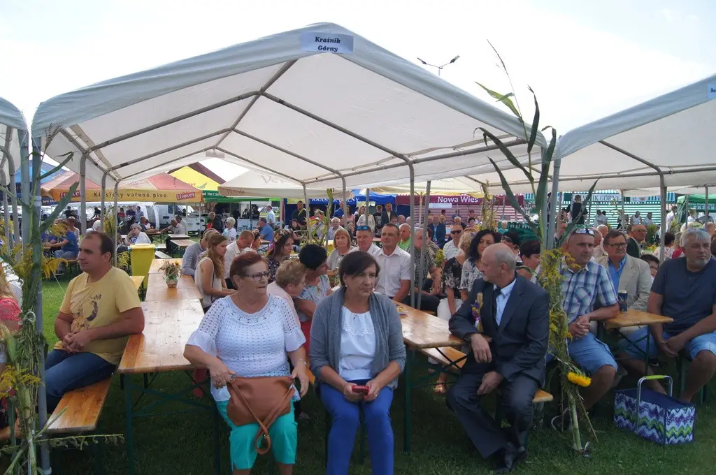 Dożynki Gminne w Brzeźniku