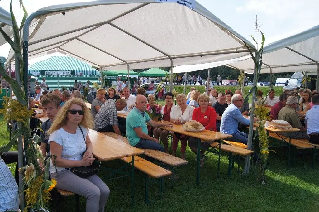 Dożynki Gminne w Brzeźniku
