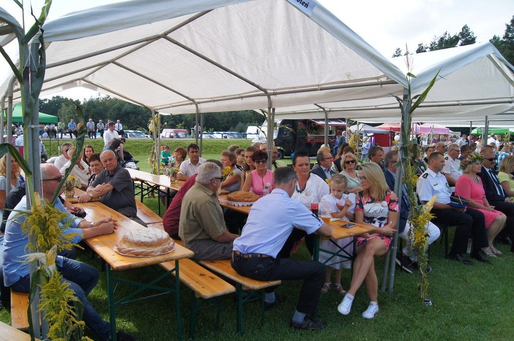 Dożynki Gminne w Brzeźniku