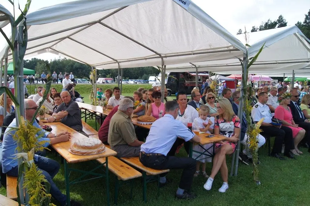 Dożynki Gminne w Brzeźniku