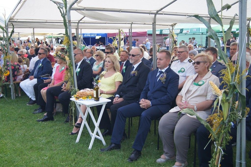 Dożynki Gminne w Brzeźniku
