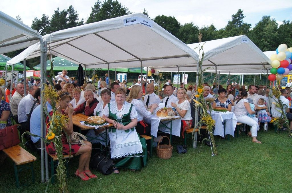 Dożynki Gminne w Brzeźniku