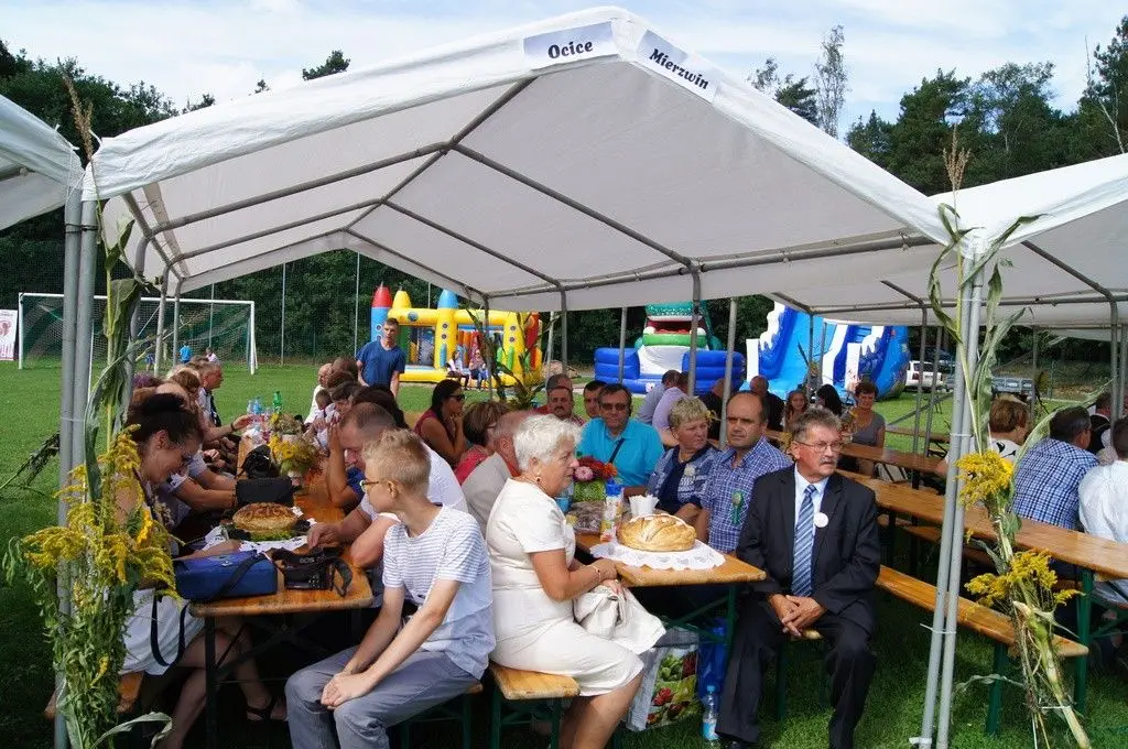 Dożynki Gminne w Brzeźniku