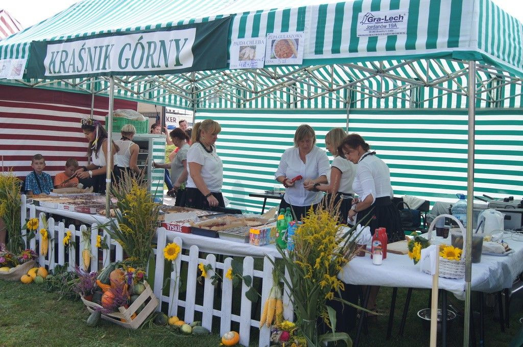 Dożynki Gminne w Brzeźniku