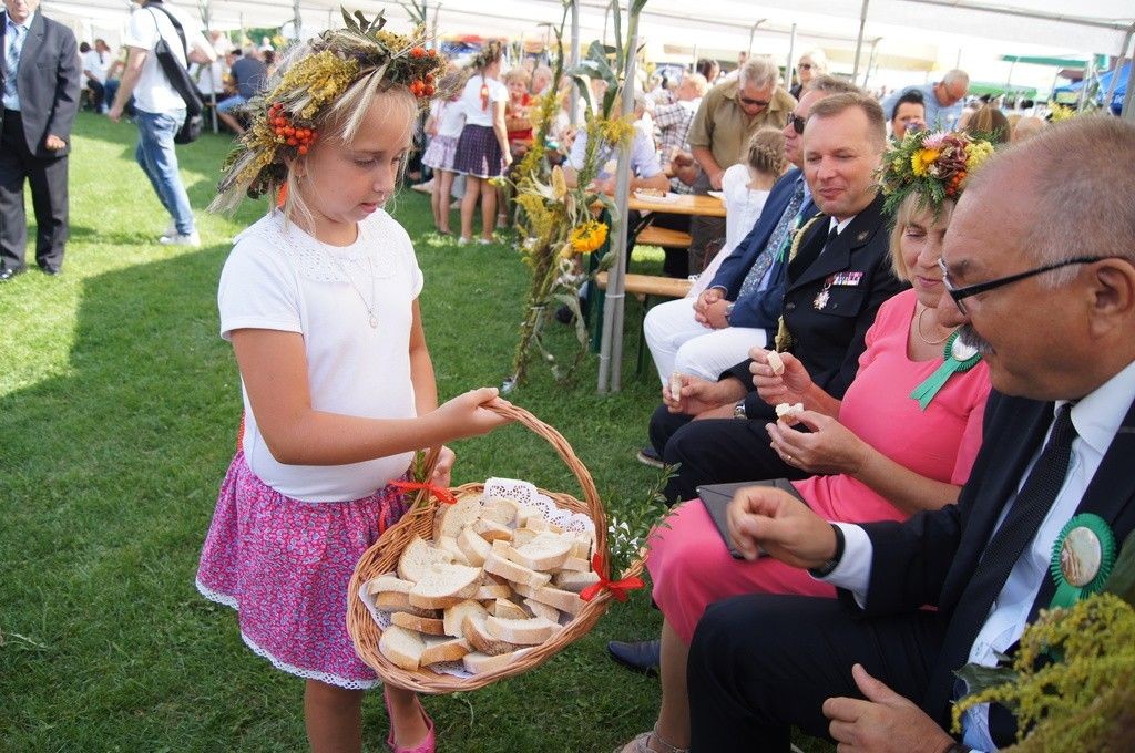 Dożynki Gminne w Brzeźniku