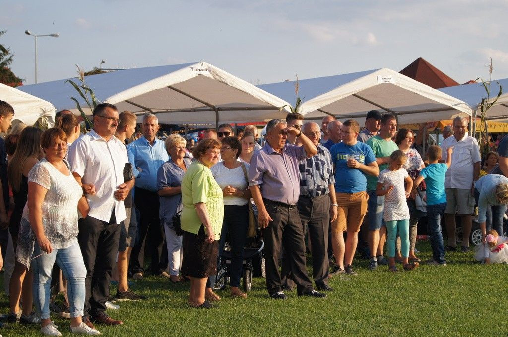 Dożynki Gminne w Brzeźniku
