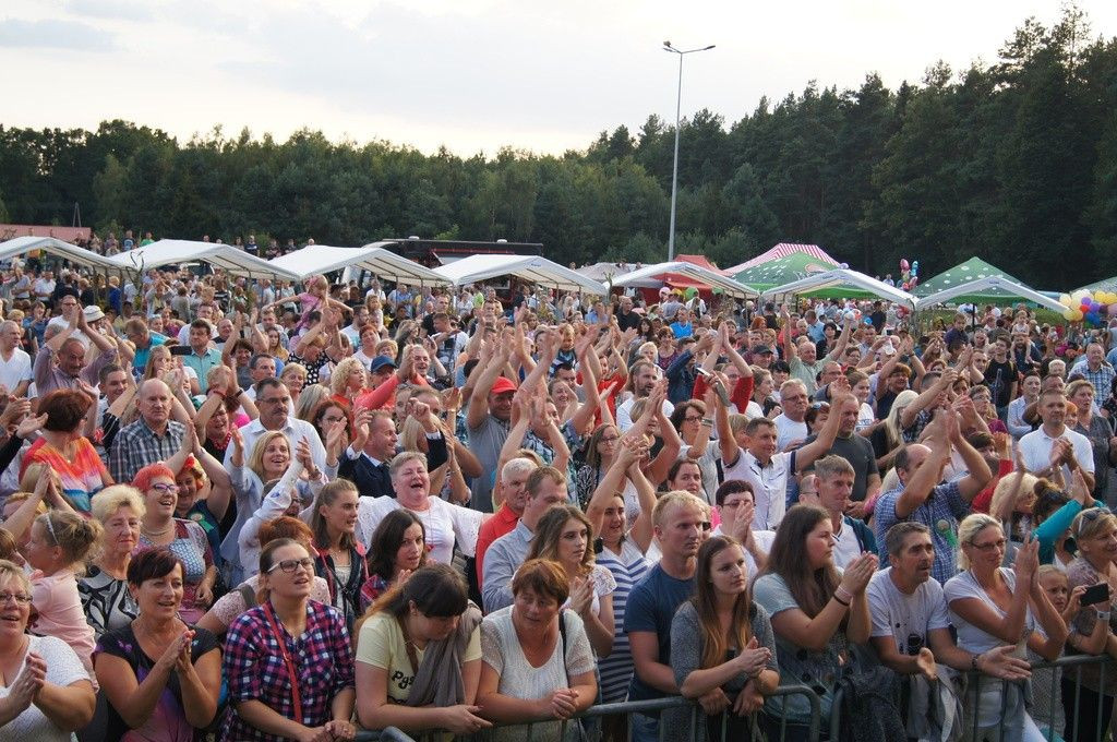 Dożynki Gminne w Brzeźniku