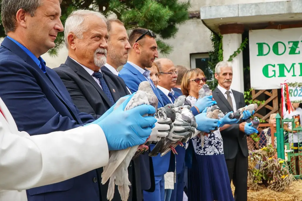 Najpiękniejszy wieniec powstał w Nowej Wsi Kraśnickiej