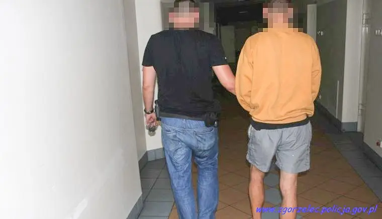 Група серійних зломників у руках поліції