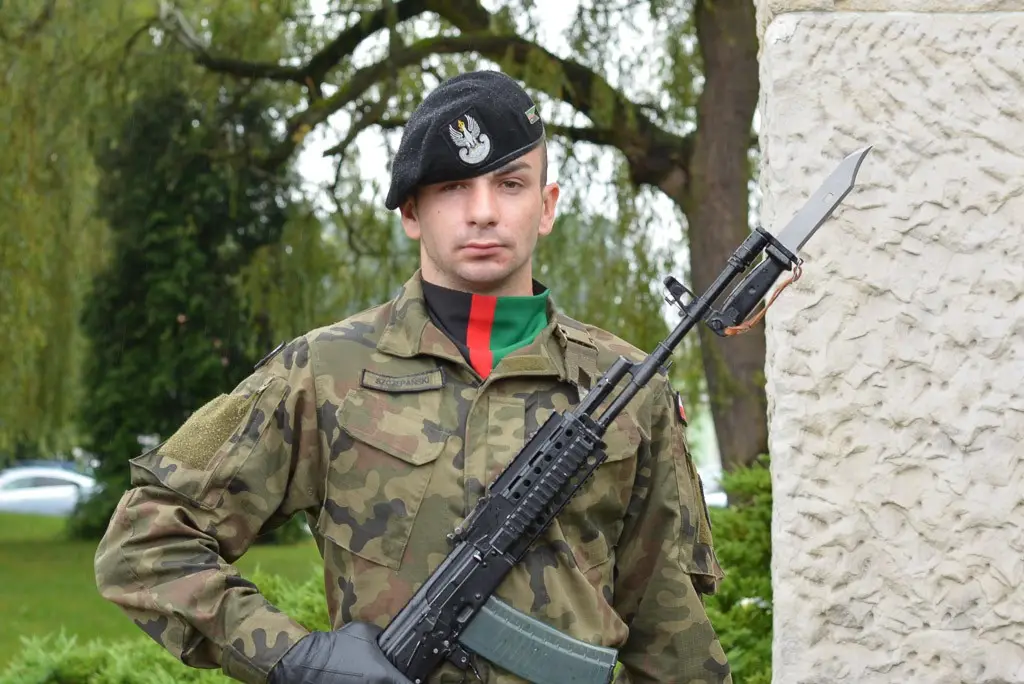 Ponownie oddali hołd polskim żołnierzom