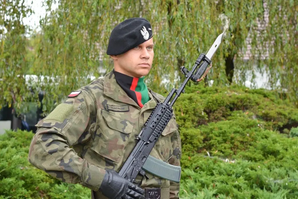 Ponownie oddali hołd polskim żołnierzom