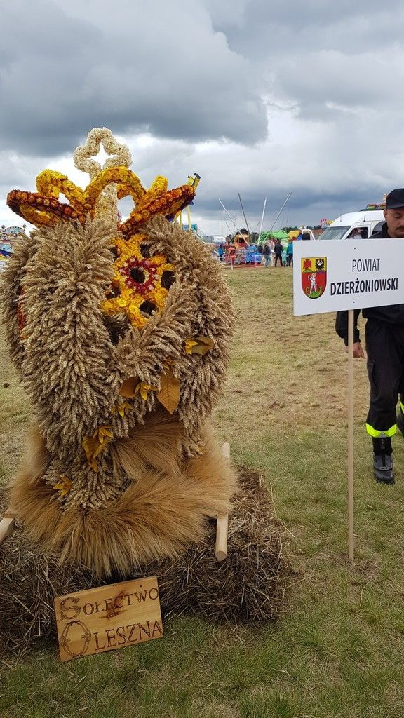Wieniec Nowej Wsi Kraśnickiej najlepszy na Dożynkach Wojewódzkich!