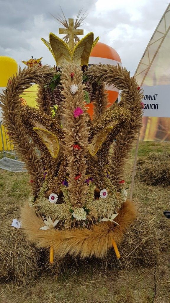 Wieniec Nowej Wsi Kraśnickiej najlepszy na Dożynkach Wojewódzkich!