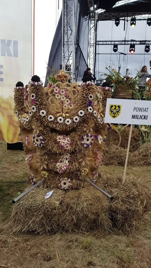 Wieniec Nowej Wsi Kraśnickiej najlepszy na Dożynkach Wojewódzkich!