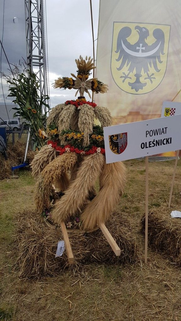 Wieniec Nowej Wsi Kraśnickiej najlepszy na Dożynkach Wojewódzkich!