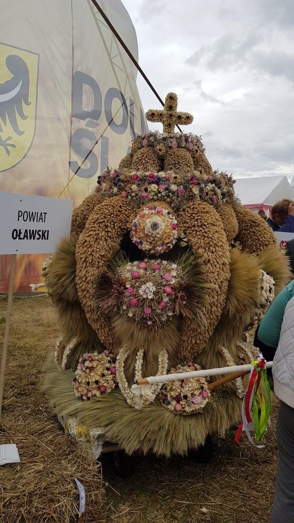 Wieniec Nowej Wsi Kraśnickiej najlepszy na Dożynkach Wojewódzkich!