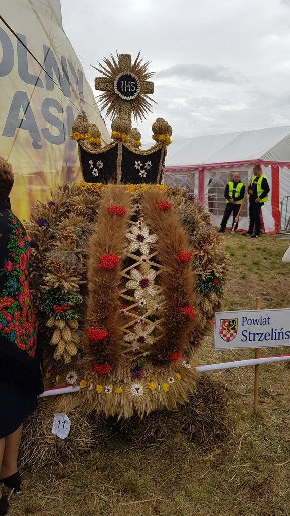 Wieniec Nowej Wsi Kraśnickiej najlepszy na Dożynkach Wojewódzkich!
