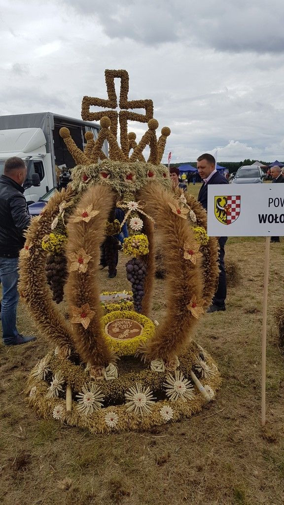 Wieniec Nowej Wsi Kraśnickiej najlepszy na Dożynkach Wojewódzkich!