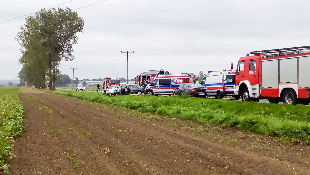 Śmiertelny wypadek między Łaziskami a Wartą. Kobieta zginęła na miejscu