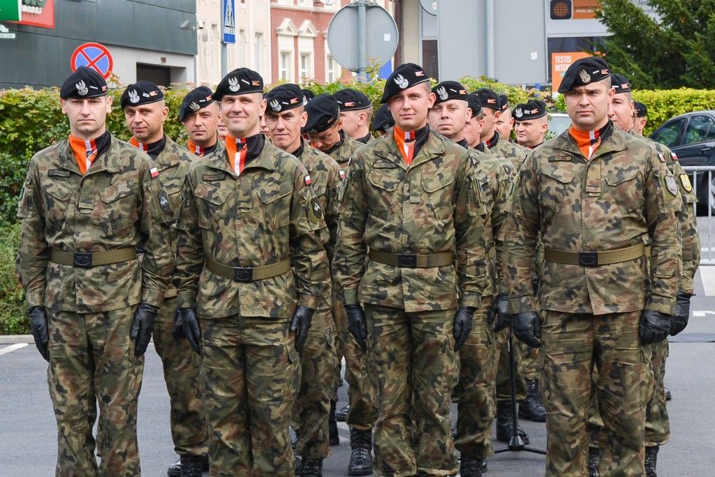 Święto Czarnej Dywizji