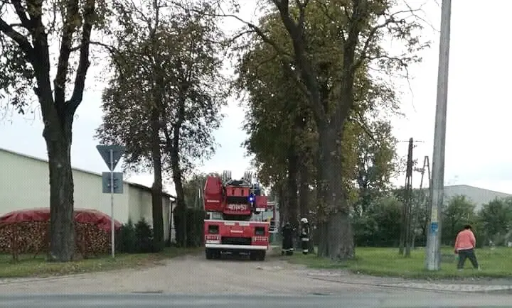 Pożar piwnicy w Warcie Bolesławieckiej