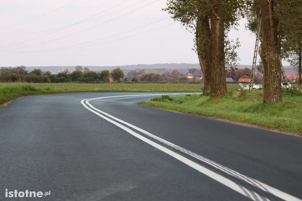 Kolejny wypadek przed Wartą. Auto wypadło z drogi