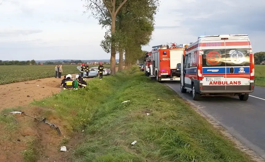 Kolejny wypadek przed Wartą. Auto wypadło z drogi
