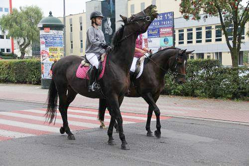 Marsz niezłomnych Amazonek