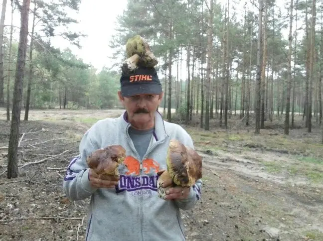 Zbiory Pana Zbigniewa