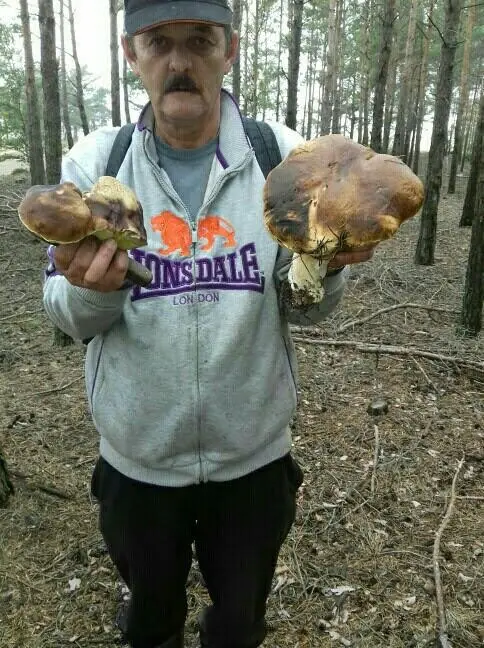 Zbiory Pana Zbigniewa